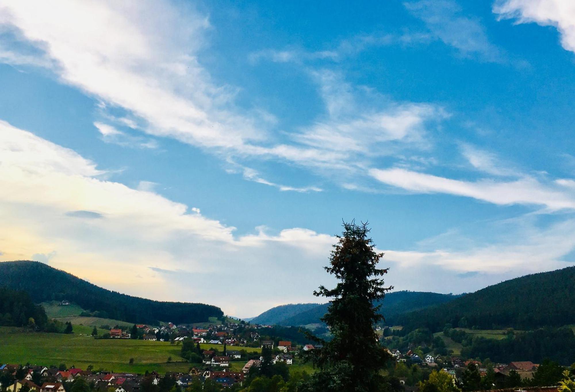 Goldener Hahn B&B Baiersbronn - Ferienwohnungen Mit Hotel Service Nahe Gartenschau Tal X Exterior photo