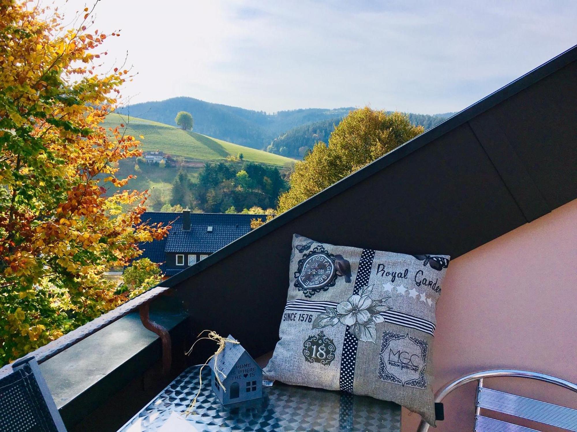 Goldener Hahn B&B Baiersbronn - Ferienwohnungen Mit Hotel Service Nahe Gartenschau Tal X Room photo